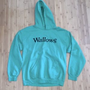 Wallows Tour Hoodie!